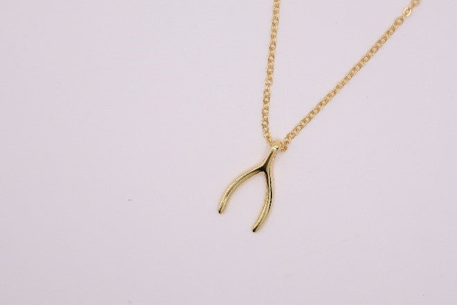 Dainty Wishbone Necklace in Yellow Gold